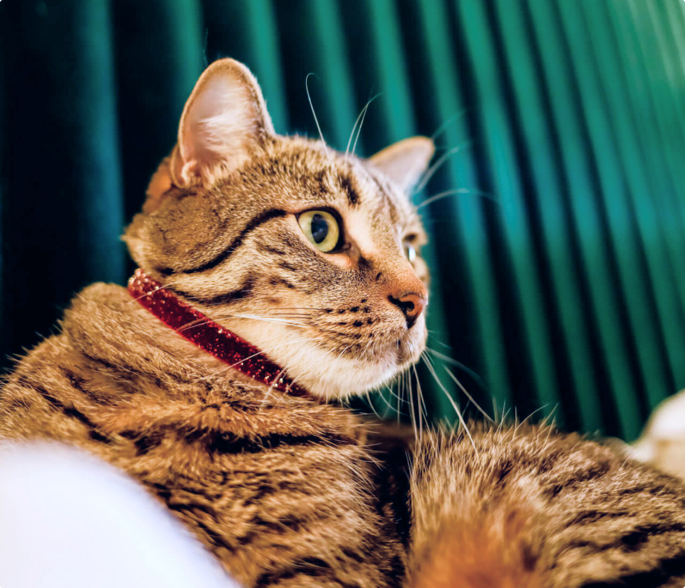 Mimi-Green_kkeb06gay4ng2 Mimi-Green_kkeb06gay4ng2