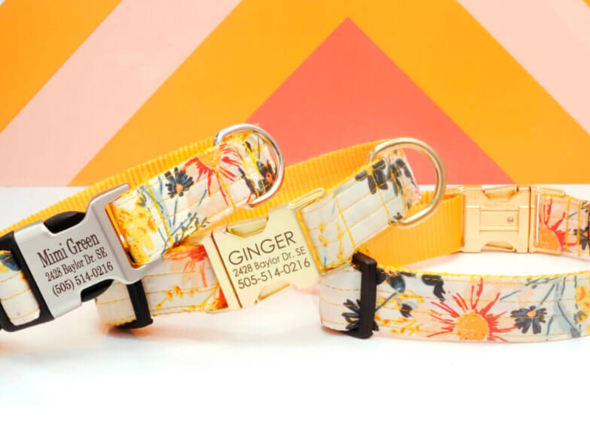 Mimi Green Case Study Mimi Green Case Study