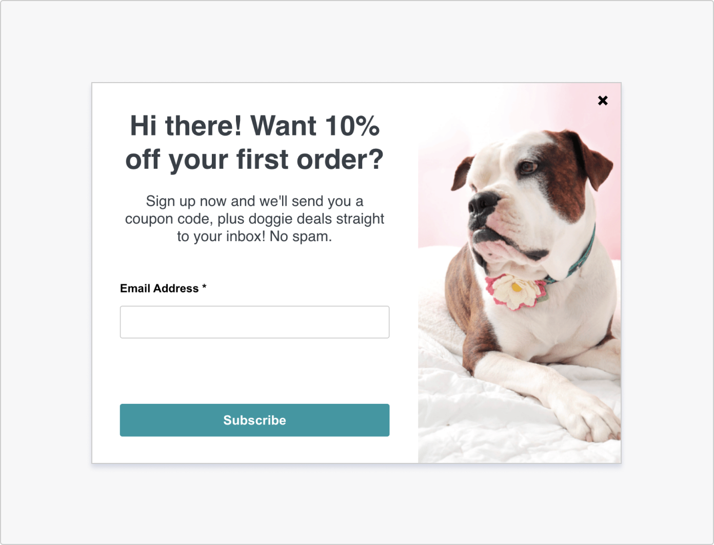 mimi-green-signup-form mimi-green-signup-form